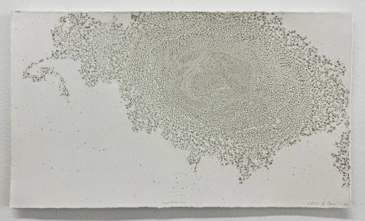 2026 SA Caitlinleroux Synchronous