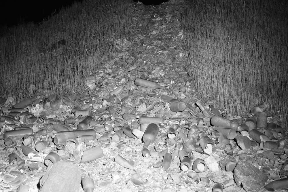 de PaulaReppAlvarez glisteningglassshardhill